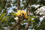 04 IMG_2020