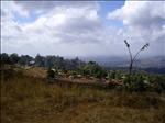Zomba